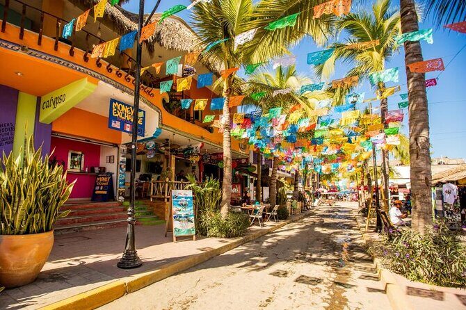 Private Tour, Sayulita & San Pancho - Authentic Experiences: What Travelers Are Saying