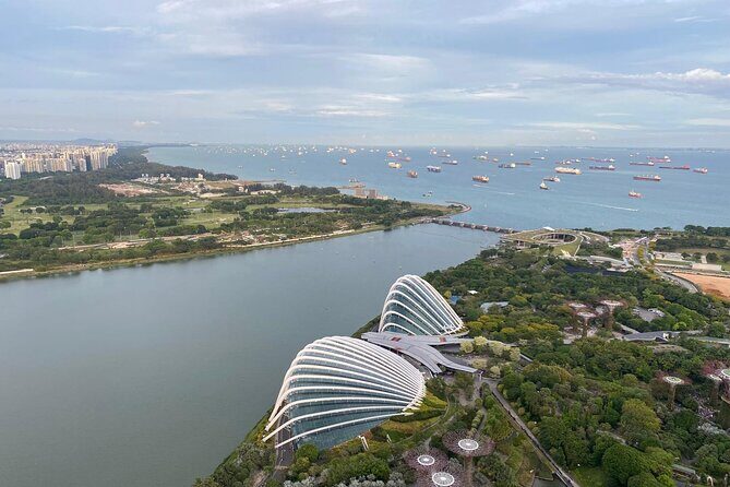 Private Tour Singapore Nighttime sightseeing + River Cruise(Max6) - Who Would Love This Tour?