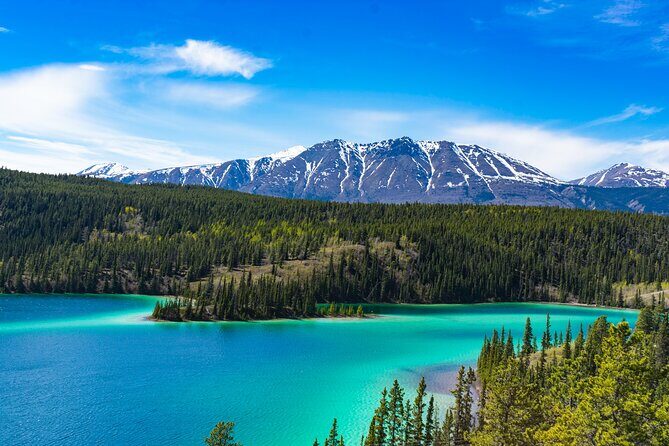 Private Tour Skagway City & Summit - What the Tour Offers: A Detailed Breakdown