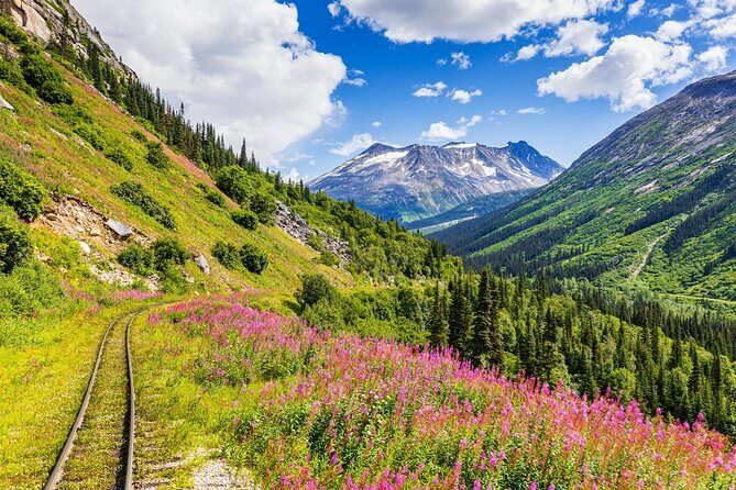 Private Tour Skagway City & Summit - Who Will Love This Tour?