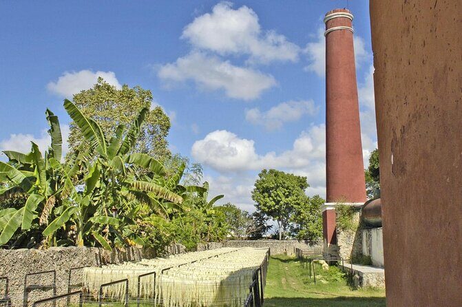 Private Tour: Sotuta de Peon Hacieda Day Trip - Exploring the Hacienda: A Living Museum