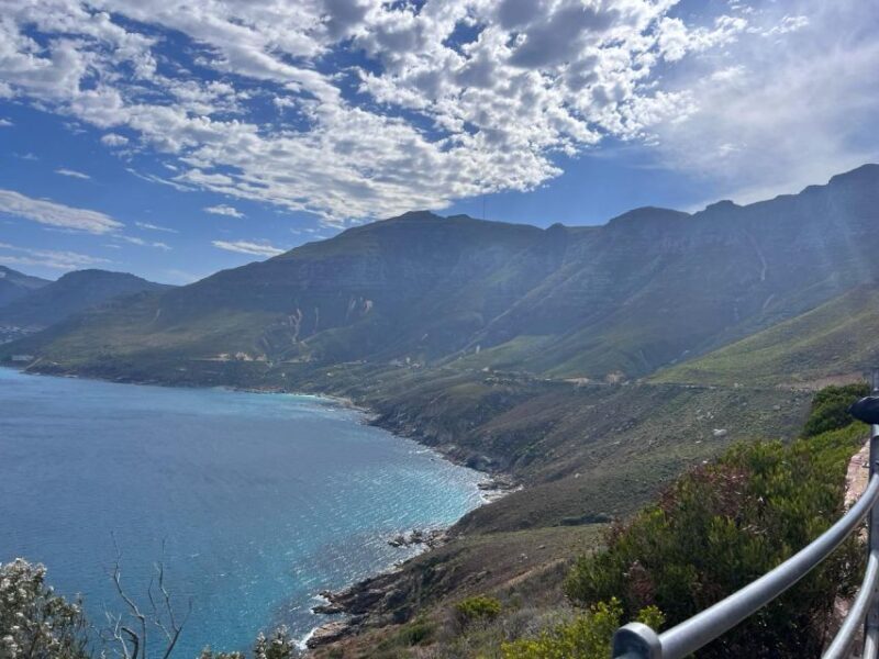 Private tour, Swim with Penguins at Boulders Beach - The Sum Up