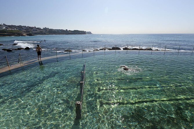 Private Tour: Sydney Beaches, Baths & Rockpools - Final Thoughts