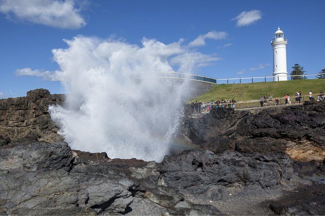 Private Tour: Sydney South Coast & Highlands - Introduction: An Authentic Look at a Scenic Day Out