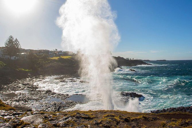 Private Tour: Sydney South Coast & Highlands - Why Travelers Love This Tour