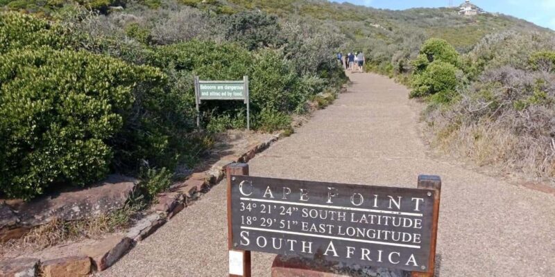 Private Tour: Table Mountain, Penguins Colony & Cape Of Good - Key Points
