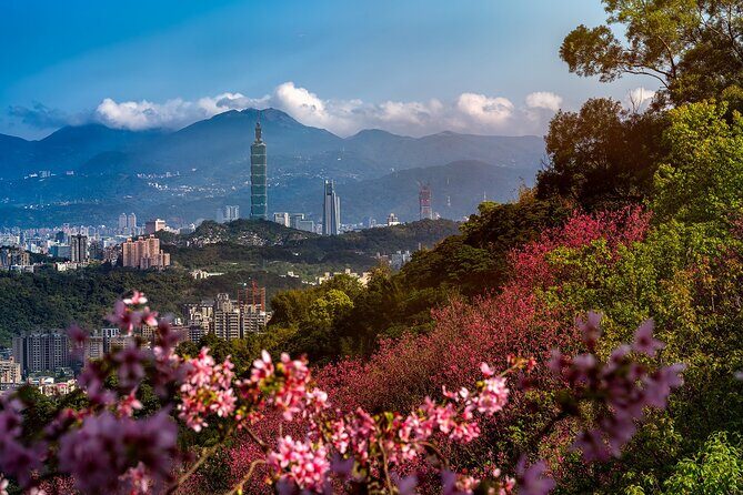 Private Tour: Taipei Timeless Treasures Tour (The Best of Taipei) - Key Points