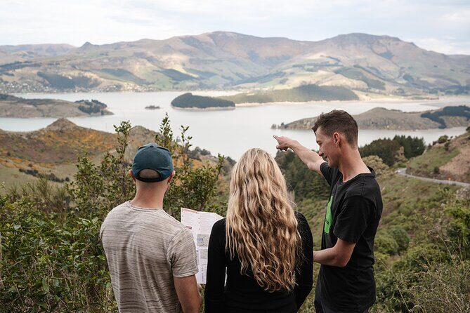 Private Tour Tekapo from Christchurch - Price and Value