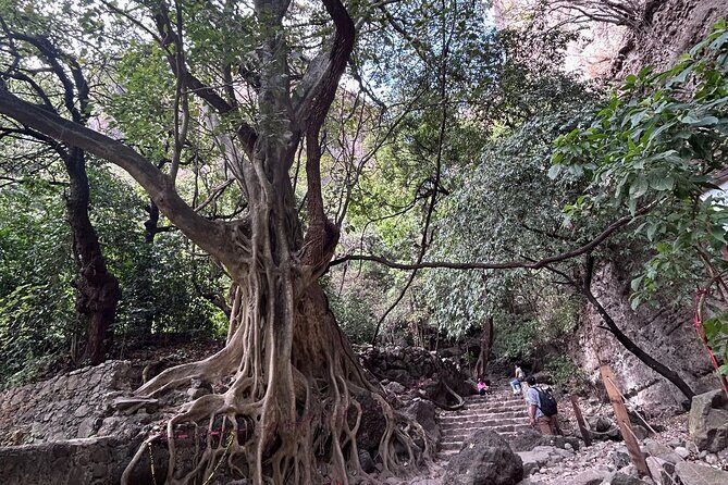 Private Tour Tepoztlán and Temazcal Spiritual Experience - Final Thoughts