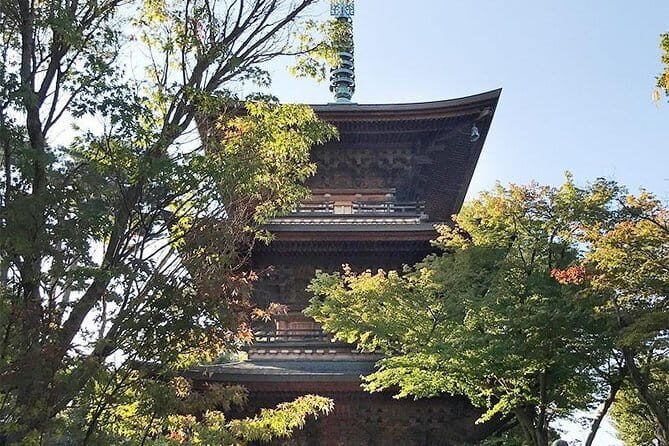 Private Tour - Thousands of lucky cats! Go by tram, Gotokuji Tour - Exploring Tokyo’s Hidden Corners: What the Tour Offers