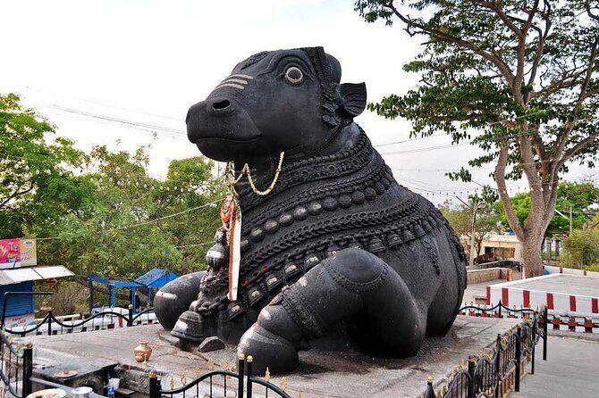 Private Tour to admire the Grandeur of Mysore from Bangalore - Why This Tour Offers Great Value