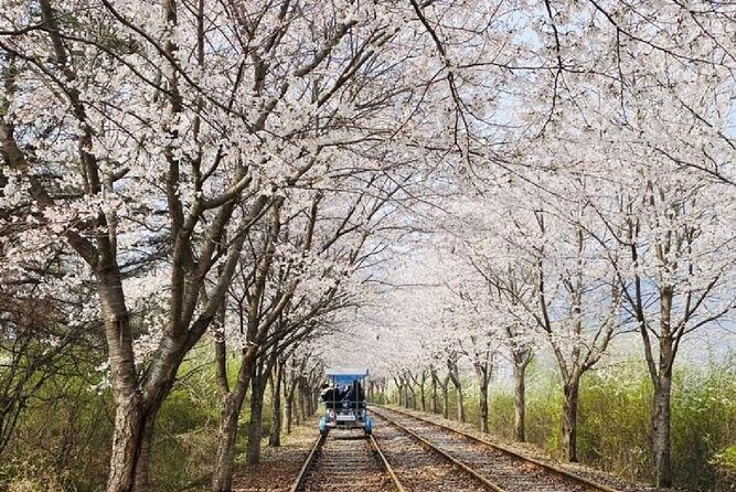 Private Tour to Alpaca world &Nami Island& Railbike with Tickets - FAQ