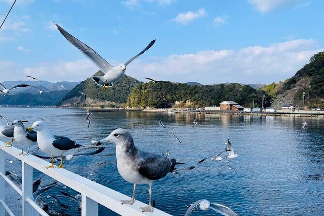 Private Tour to Amanohashidate and Ine Bay the Venice of Japan - FAQ