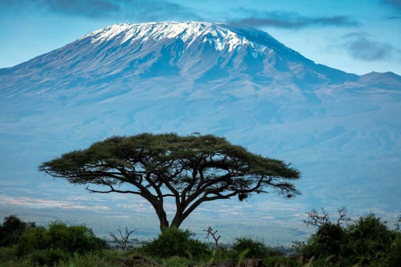 Private Tour to Amboseli National Park - What to Expect from the Tour