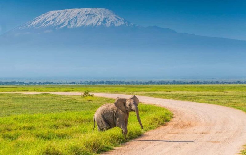 Private Tour to Amboseli National Park - Why This Tour Works Well