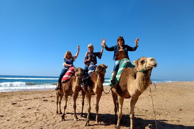 Private Tour to Assilah - Final Thoughts