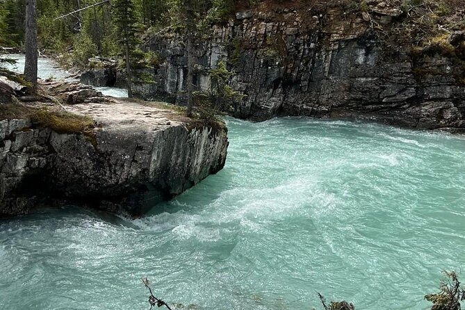 Private tour to Banff - Johnston Canyon: A Walk Above the Forest Floor