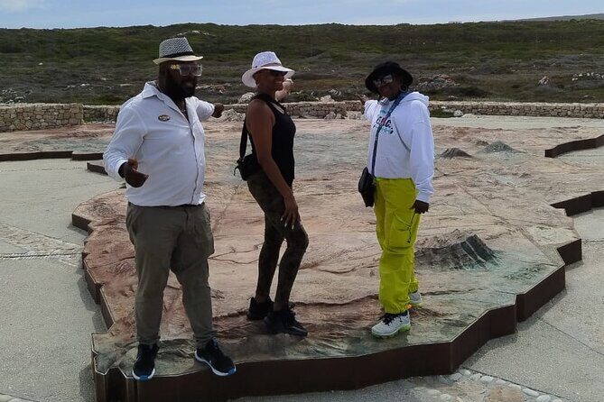 Private Tour to Cape Agulhas Full Day from Cape Town - Penguin Colony at Stony Point
