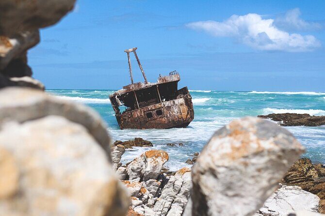 Private Tour to Cape Agulhas Full Day from Cape Town - The Return Journey: Reflecting on the Day