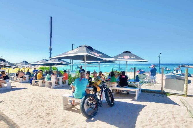 Private Tour to Cape Agulhas Full Day from Cape Town - Is It Worth the Price?