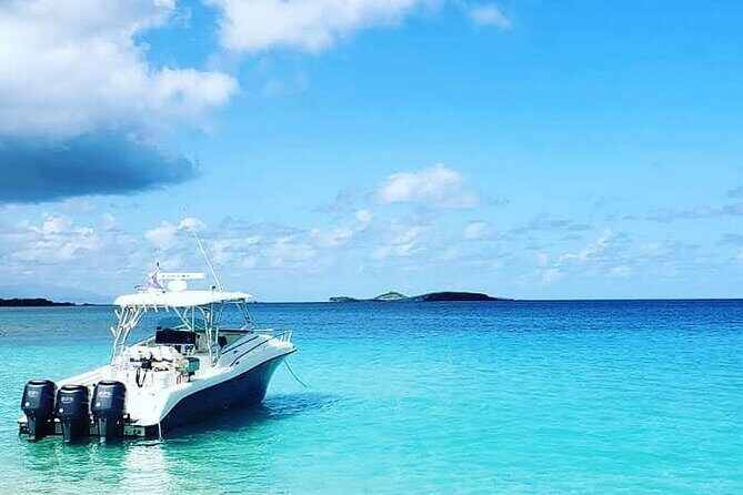 Private Tour to Cayo Icacos and Palomino Island - An Overview of the Experience