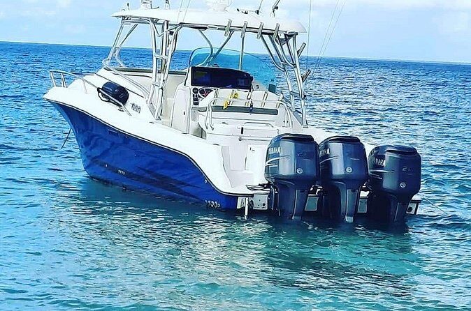 Private Tour to Cayo Icacos and Palomino Island - Final Thoughts