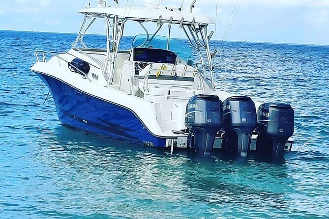Private Tour to Cayo Icacos and Palomino Island - FAQ
