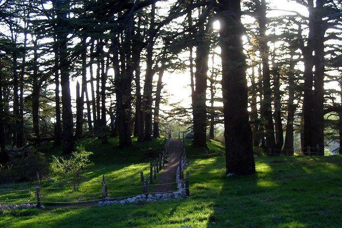 PRIVATE Tour to Cedars of God, Besharre & Qozhaya Valley - Exploring Lebanon’s Hidden Gems: A Detailed Look at the Private Tour to Cedars of God, Besharre & Qozhaya Valley