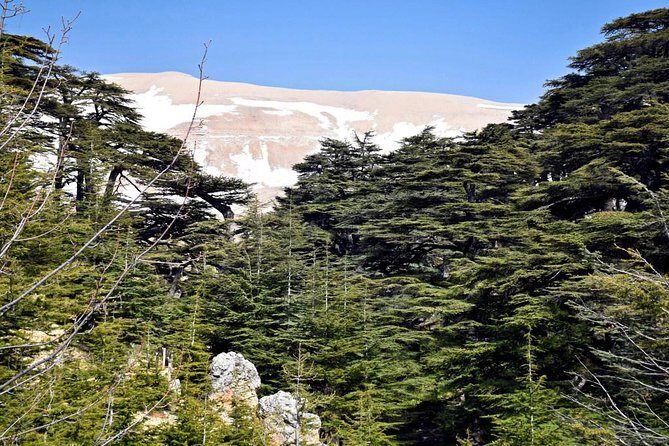 PRIVATE Tour to Cedars of God, Besharre & Qozhaya Valley - Key Points
