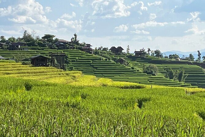 Private Tour to Chiang Mai Rice Terraces and National Park - Key Points
