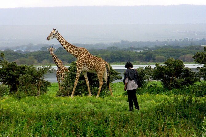 Private Tour to Crescent Island From Nairobi - Who Will Enjoy This Tour?