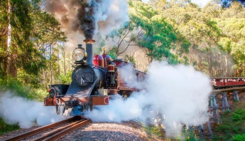 Private Tour to Dandenong Ranges & Puffing Billy Steam Train - Key Points