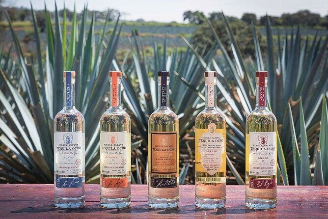 Private Tour to Distillery Tequila Ocho and Arandas - The Breakdown of the Experience