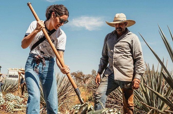 Private Tour to Distillery Tequila Ocho and Arandas - FAQ