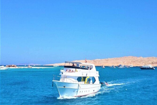 Private Tour to Dolphins house Sea hero of Egypt snorkeling - Introduction: An Authentic Red Sea Adventure in Hurghada