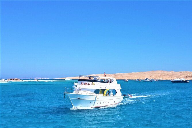 Private Tour to Dolphins house Sea hero of Egypt snorkeling - Final Thoughts: Who Will Love This Tour?