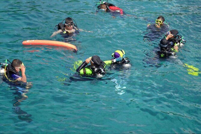 Private Tour to Dolphins house Sea hero of Egypt snorkeling - FAQs about the Private Dolphins & Snorkeling Tour