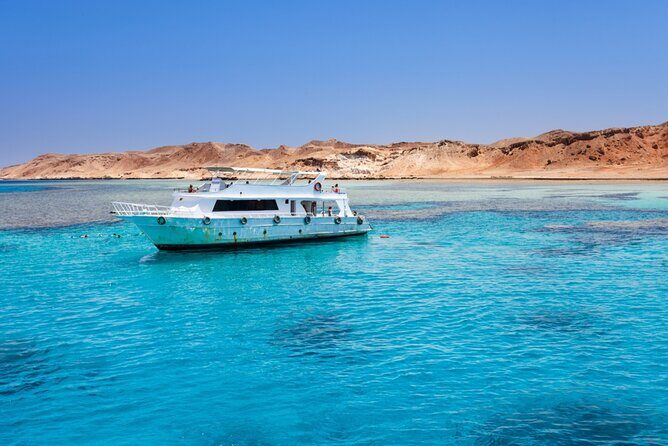 Private Tour to Dolphins house Sea hero of Egypt snorkeling - Final Words