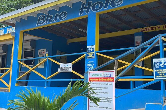 Private Tour to Dunns River and Blue Hole from Montego Bay - What Makes This Tour Stand Out?
