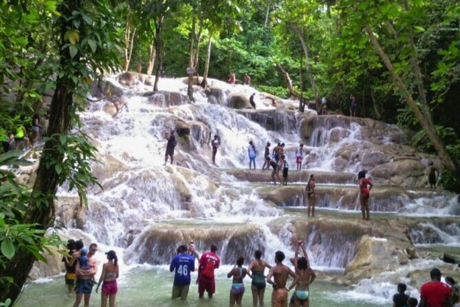 Private Tour to Dunns River and Horseback Riding with Local Guide - What the Reviews Say