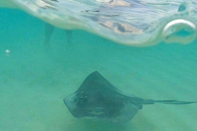 Private Tour to El Cielo and El Cielito and Palancar Cozumel - Who Will Love This Tour?