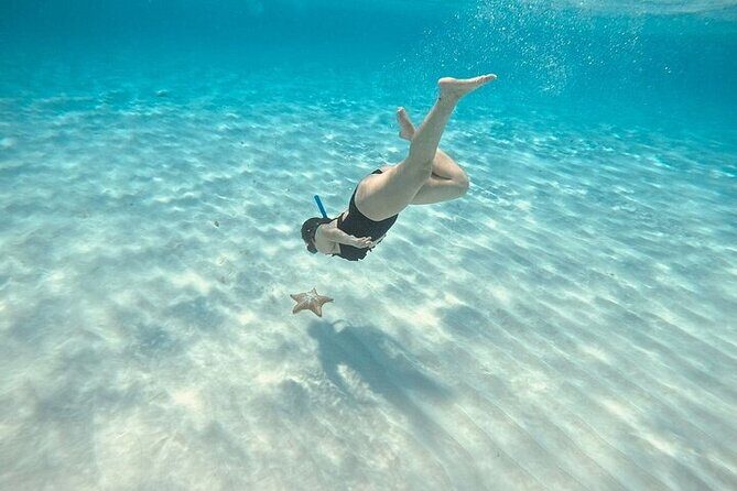 Private Tour to El Cielo and El Cielito and Palancar Cozumel - FAQs