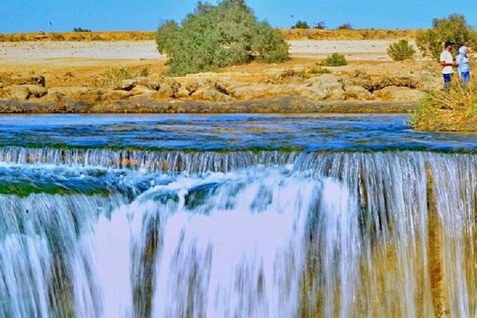 Private Tour To Fayoum Oasis, Valley Of The whales & Wadi Al Rian From Cairo. - What You’ll Experience: A Detailed Breakdown
