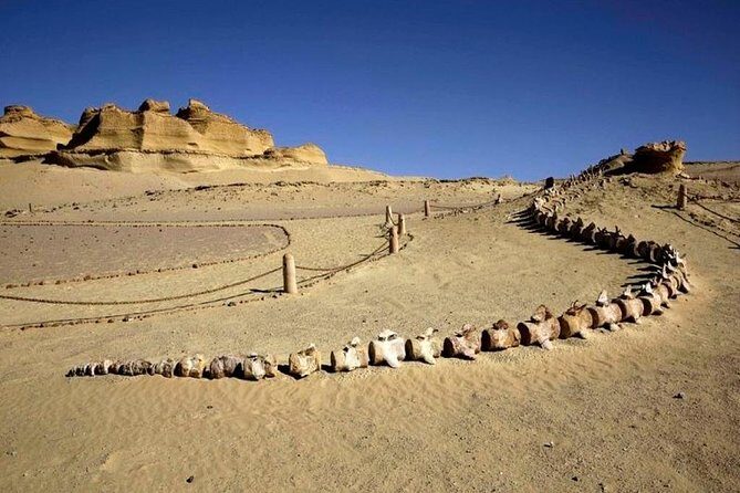Private Tour To Fayoum Oasis, Valley Of The whales & Wadi Al Rian From Cairo. - The Sum Up: Who Will Appreciate This Tour?
