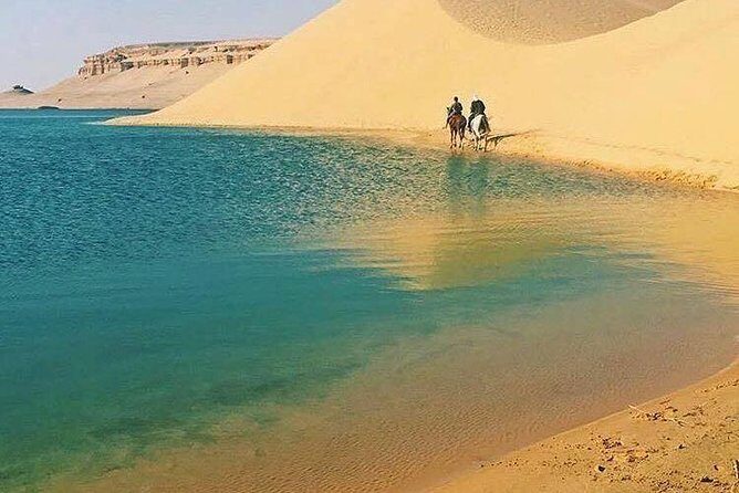 Private Tour To Fayoum Oasis, Valley Of The whales & Wadi Al Rian From Cairo. - FAQ: Practical Questions Answered