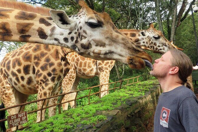 Private Tour To Giraffe Centre in Nairobi - The Sum Up: A Worthwhile Encounter for Animal and Culture Enthusiasts