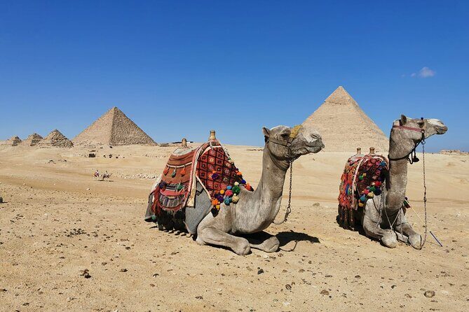 Private Tour to Giza Pyramids, Sphinx with Camel Ride and Lunch - Who Will Love This Tour?