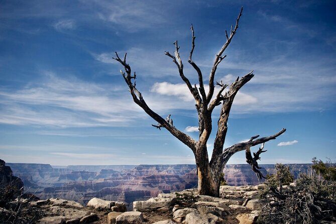Private Tour to Grand Canyon from Las Vegas with Driver and Guide - Whats Included and Whats Not