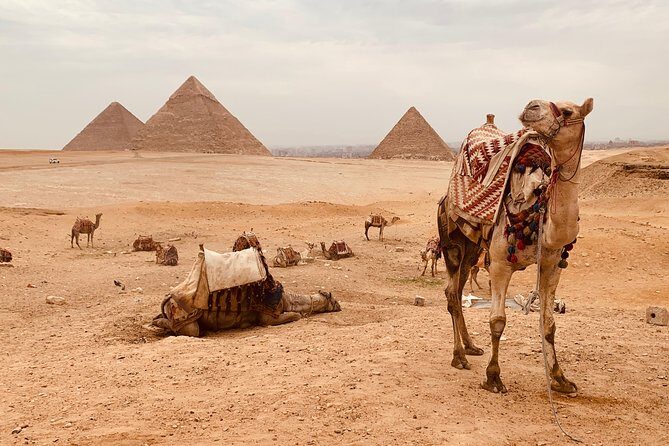 private tour to Grand Egyptian museum, Giza pyramids and lunch - The Itinerary in Detail