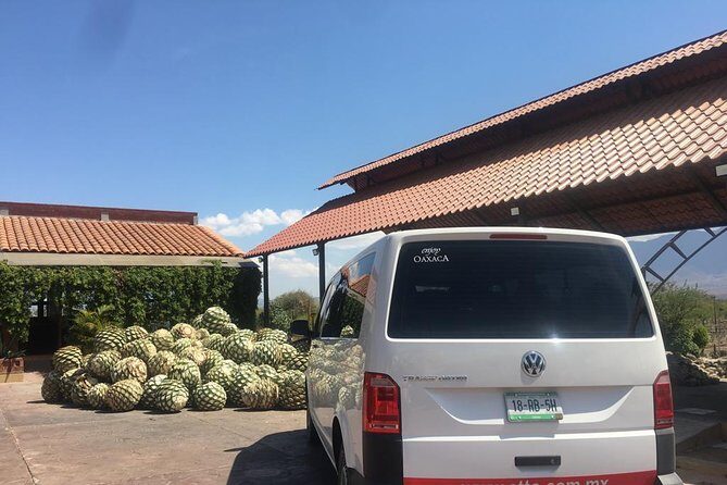 Private Tour to Hierve el Agua, Mezcal Tasting, and Textiles - Who Is This Tour Best For?